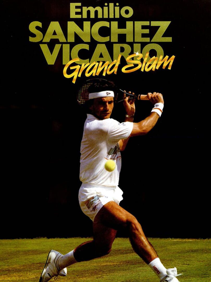 Emilio Sanchez Vicario Grand Slam